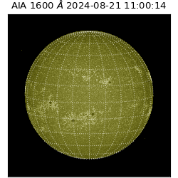 saia - 2024-08-21T11:00:14.126000