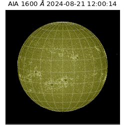 saia - 2024-08-21T12:00:14.126000