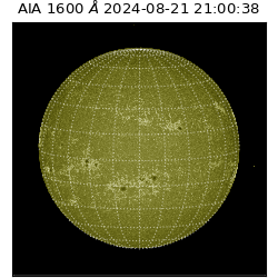 saia - 2024-08-21T21:00:38.126000