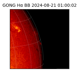 gong - 2024-08-21T01:00:02