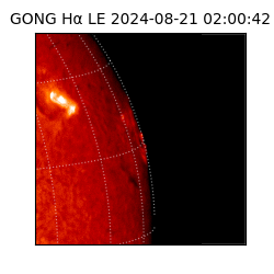 gong - 2024-08-21T02:00:42