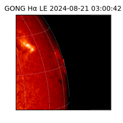 gong - 2024-08-21T03:00:42