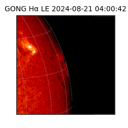 gong - 2024-08-21T04:00:42