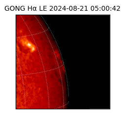 gong - 2024-08-21T05:00:42