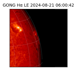 gong - 2024-08-21T06:00:42