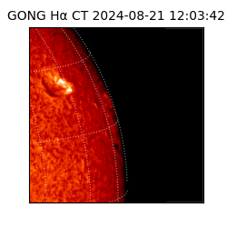 gong - 2024-08-21T12:03:42