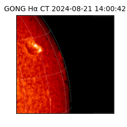 gong - 2024-08-21T14:00:42