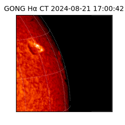 gong - 2024-08-21T17:00:42