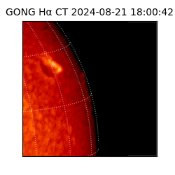 gong - 2024-08-21T18:00:42