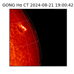 gong - 2024-08-21T19:00:42