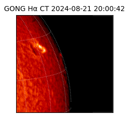 gong - 2024-08-21T20:00:42