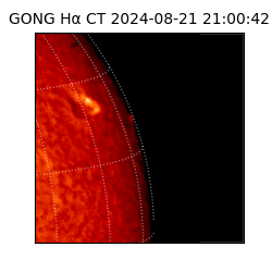 gong - 2024-08-21T21:00:42