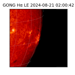 gong - 2024-08-21T02:00:42