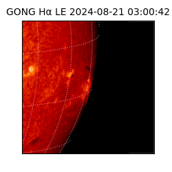 gong - 2024-08-21T03:00:42