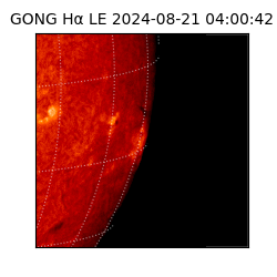 gong - 2024-08-21T04:00:42