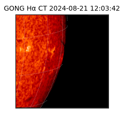 gong - 2024-08-21T12:03:42