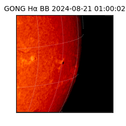 gong - 2024-08-21T01:00:02