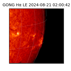 gong - 2024-08-21T02:00:42