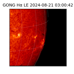 gong - 2024-08-21T03:00:42