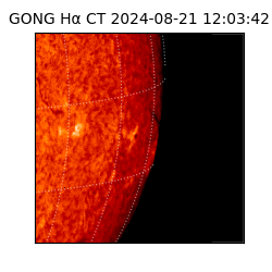 gong - 2024-08-21T12:03:42