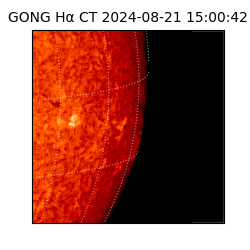 gong - 2024-08-21T15:00:42