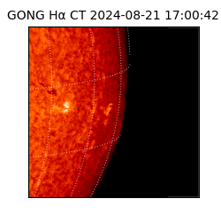 gong - 2024-08-21T17:00:42