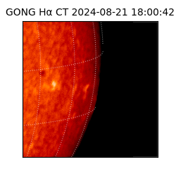 gong - 2024-08-21T18:00:42