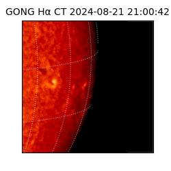 gong - 2024-08-21T21:00:42