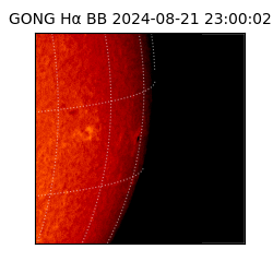 gong - 2024-08-21T23:00:02