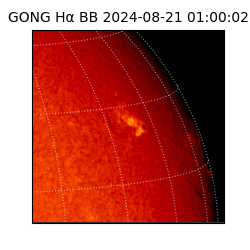 gong - 2024-08-21T01:00:02