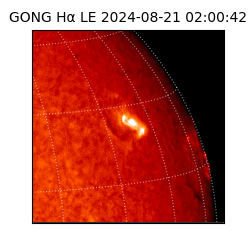 gong - 2024-08-21T02:00:42