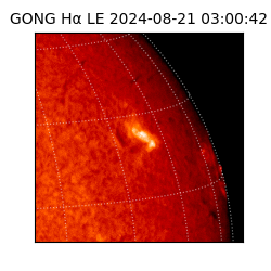 gong - 2024-08-21T03:00:42