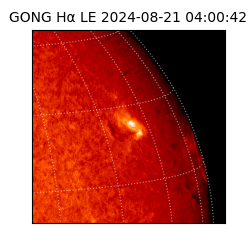 gong - 2024-08-21T04:00:42