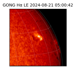 gong - 2024-08-21T05:00:42