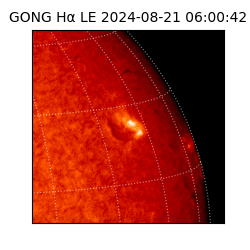 gong - 2024-08-21T06:00:42
