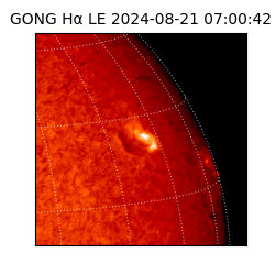 gong - 2024-08-21T07:00:42