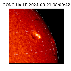 gong - 2024-08-21T08:00:42