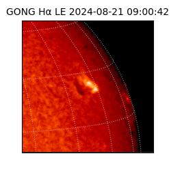 gong - 2024-08-21T09:00:42