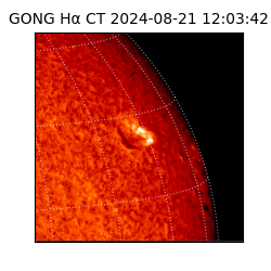 gong - 2024-08-21T12:03:42