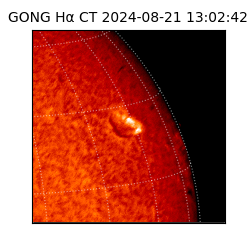 gong - 2024-08-21T13:02:42