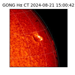 gong - 2024-08-21T15:00:42