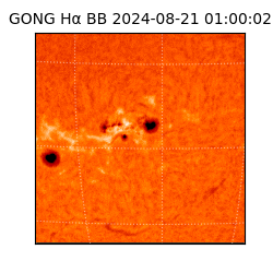 gong - 2024-08-21T01:00:02