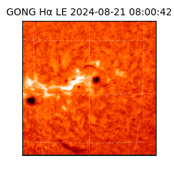 gong - 2024-08-21T08:00:42