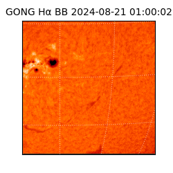 gong - 2024-08-21T01:00:02