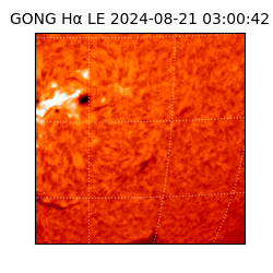 gong - 2024-08-21T03:00:42