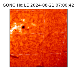 gong - 2024-08-21T07:00:42