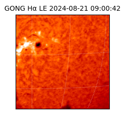 gong - 2024-08-21T09:00:42