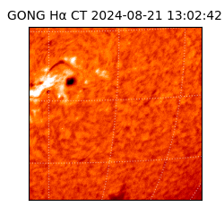 gong - 2024-08-21T13:02:42