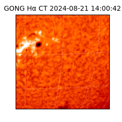 gong - 2024-08-21T14:00:42