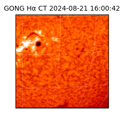 gong - 2024-08-21T16:00:42